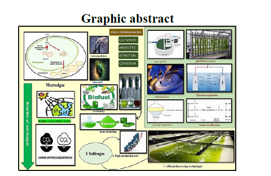 Key Issues in Biofuel Production from Microalgae: A Review 1 b3a1a5dc fi