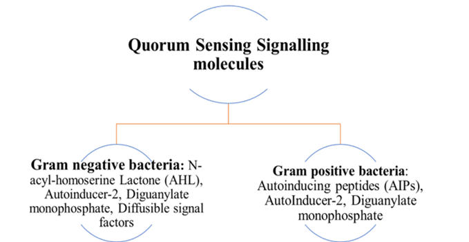 Inhibition of Quorum Sensing to Mitigate the Risks of Membrane Biofouling in Biological Wastewater Treatment 1 b3bee5e8 fe