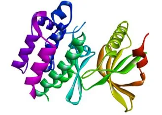 Exploring Potential Phytochemicals for Myasthenia Gravis Treatment: A Molecular Docking and ADME Analysis Approach 1 b3d97458 capture