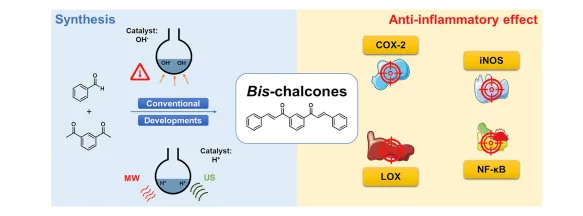 Chalcones: Beyond Bioactive Properties - Exploring Their Potential as Polymeric Materials 1 bf57945d 1 png