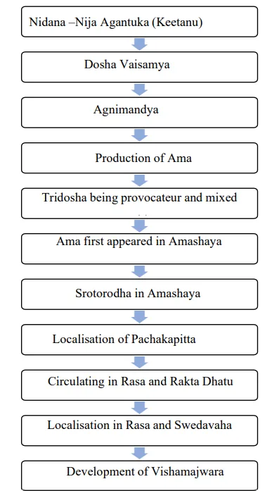 Exploring Malaria Fever (Vishama Jwara) Through an Ayurvedic Lens: A Comprehensive Review 1 ce17ed80 fi png