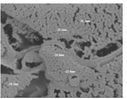 Performance Analysis of Graphene Reinforced Sug-ar-Alcohol Based PCM for Thermal Energy Storage System 1 d10a8b88 fi png