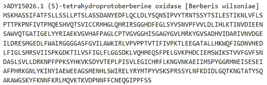 InSilico Analysis and Homology Modeling of Tetrahydroprotoberberine Oxide involved in the Berberine Biosynthesis 1 d9b708a7 screenshot 2024 11 29 102925 png