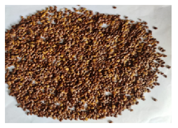 An experimental investigation of Prosopis Juliflora Biodiesel's performance and emission characteristics 1 e2186a5b f1