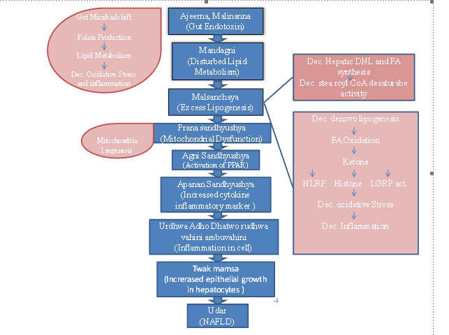 Effect of Snehpana (Lipid Based Drug Delivery System) with Shatpala Ghrit in Non-Alcholic Fatty Liver Diseases 1 e4cfe254 11