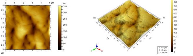 Experimental investigation of thermally grown Indium film’s structural and tribological properties 1 e4ff2387 f.image
