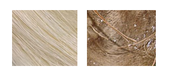 Mechanical Characteristics of Naturally Woven Coconut Sheath/Short Sisal Fiber Reinforced Polymer Hybrid Composites 1 e8196f8e feature image