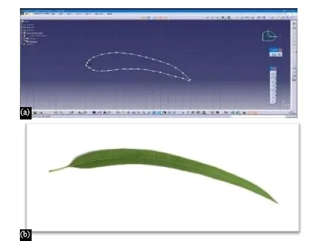 Biomimicry of Eucalyptus Leaf Design for Optimization and Fabrication of Airfoil 1 ec320903 fi