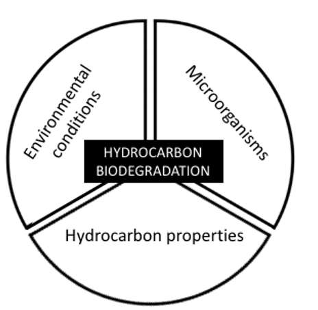 Monitoring of Microbial Growth on Crude Oil Remediation using Processed Palm Fruit Fermented Waste Water and NKP Fertilizer 1 ee3ac2cc edwards article 1 figure 1