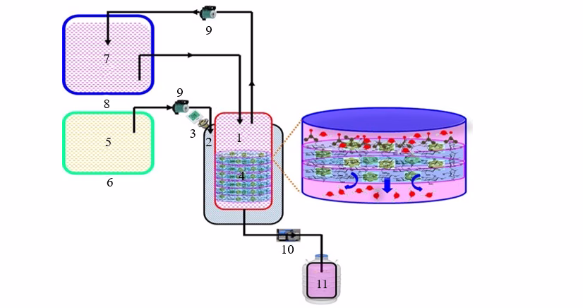 Novel Poly (Methyl Cellulose-G-Acrylamide)/Sodium Alginate Based Zeolite 4A Filled Mixed Matrix Membranes for The Separation of Water-Isopropyl Alcohol Mixtures by Pervaporation 1 ef7f678a fi