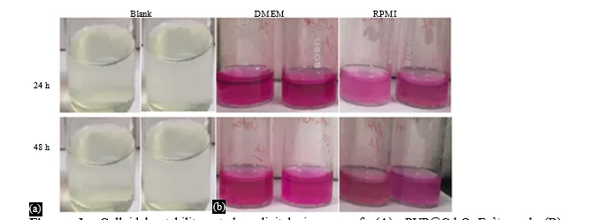Experimental Evaluation of MDM@Gd2O3:Eu3+ and Protein@MDM@Gd2O3:Eu3+ Functional Nanomaterial 1 f1c55122 fi png