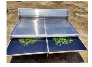 Drying Characteristics of Moringa (Moringa oleifera) Leaves 1 f64cd0c0 www png