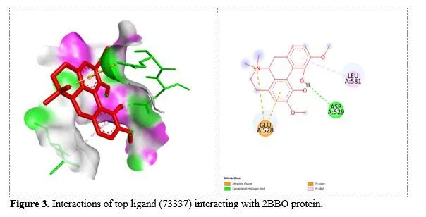 Screening Phytocompounds of Tinospora cordifolia to Find Potential Drug Targets for Cystic Fibrosis 4 figures