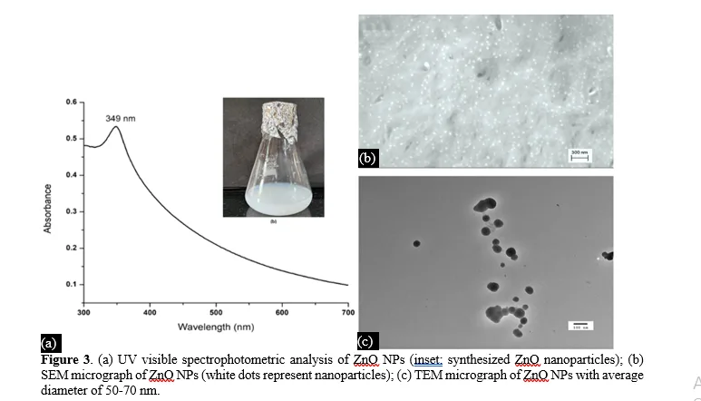 Stimulation of Plant Growth Promoting Rhizobacteria with ZnO Nanoparticles to Improve Growth and Development of Groundnut Plants (Arachis Hypogaea L.) 7 figures