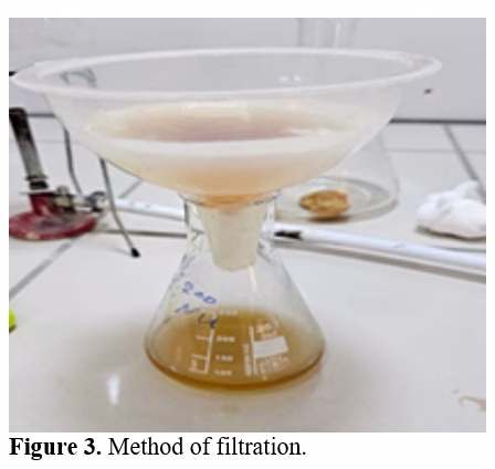 Effect of Different Incubation Times on the Effectiveness of Oyster Mushrooms Towards the Growth of Some Fungal Isolates 4 figures