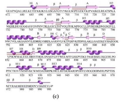 In Silico Molecular Docking of Indigofera tinctoria Phytocompounds to Target EGFR/ERK and FGFR/FGF Pathway Proteins Involved in Prostate Cancer 3 figures