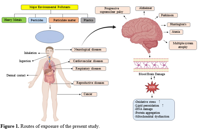 A Perspective Review on Role of Environmental Pollutants in Developing Neurodegenerative Diseases 2 figures