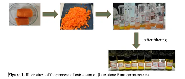 A Study on Solvent Interaction and Thermal Transport of β-Carotene 2 figures