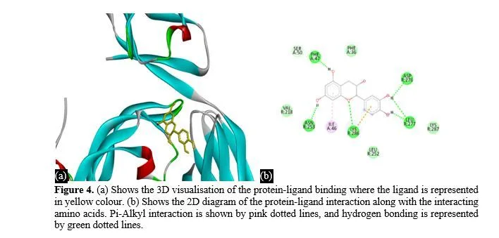 Molecular Docking of Saraca asoca (Ashoka) Phytocompounds for Ovarian Cancer Therapy 5 figures