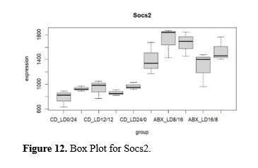 Light-Dark Cycle Disruption in Hypothalamus Tissue of Mus Musculus Causes Change in the Expression of Gm45928 Gene 13 figures