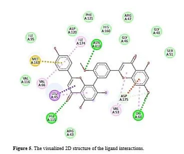 Exploring the Role of Ginkgo biloba in Investigating 7L1X in Triple-Negative Breast Cancer Through Integrative Bioinformatics 6 figures