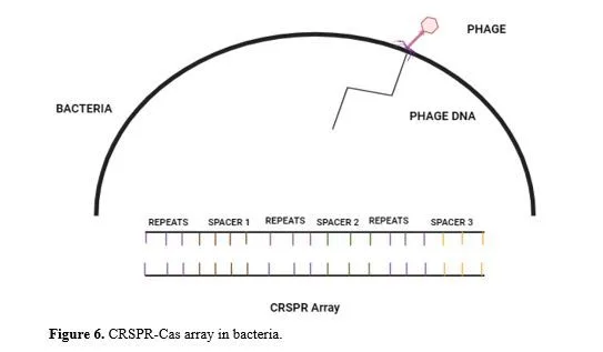 Breakthroughs in Biotechnology for the Regulation of Infectious Diseases 7 figures