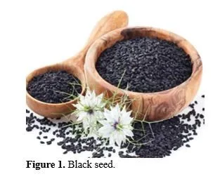 Pharmacokinetic and Pharmacodynamic Studies of Black Seed Derived Compound 2 figures