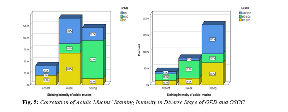 Examining Connective Tissue Changes Across Various Grades of Oral Epithelial Dysplasia and Oral Squamous Cell Carcinoma: A Histochemical Polymeric Investigation 6 figures