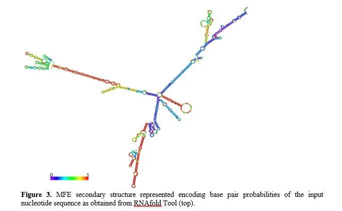 Gene Annotation of Cancer Vaccine for Homo sapiens 4 figures