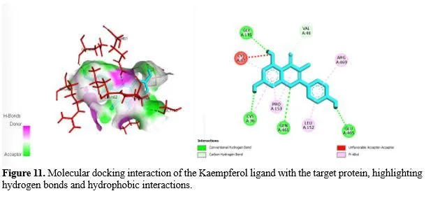 In Silico Analysis and Molecular Docking Studies of COX-2 Inhibitors for Anti-Inflammatory Activity 12 figures