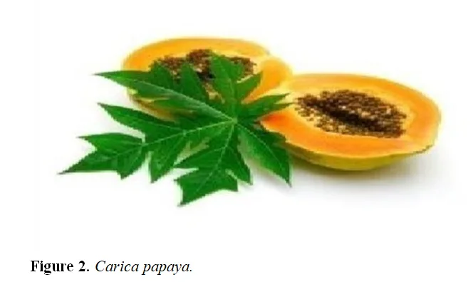 Hydro-alcoholic Extract of Herbal Formulation and Evaluation of Papaya leaf And Orange Peel for treatment of Dengue Fever 3 figures