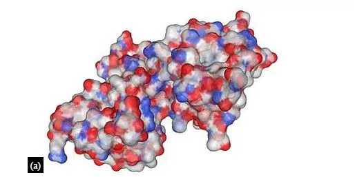 Precision Medicine for Neurofibromatosis Type 1: Progress and Prospects in Drug Discovery 12 figures