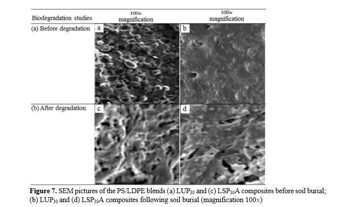 Study of the Properties and Destructibility of the Native and Cross-Linked Potato Starch-Filled Polymer Composites for Food Packaging Applications 8 figures