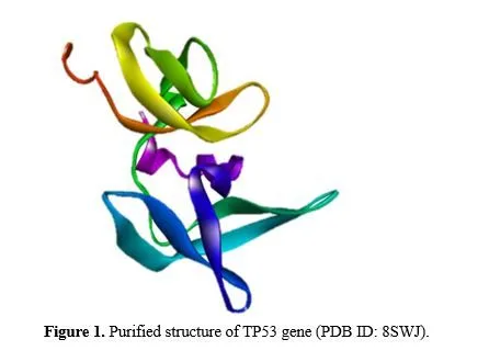 In Silico Exploration of Podophyllum Hexandrum-Derived Phytocompounds as Potential Therapeutics Against Small Cell Lung Cancer (SCLC): A Molecular Docking Approach 2 figures