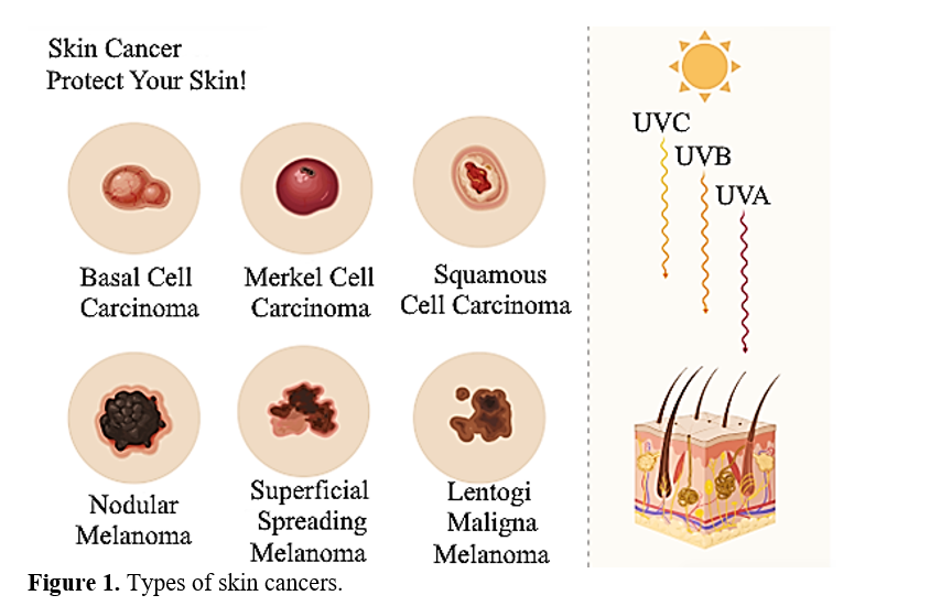A Review of Herbal Photoprotective Agents: From Traditional Knowledge to Modern Sunscreen Formulations 2 figures