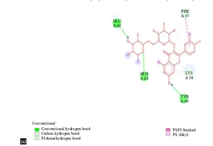 Integrating Network Pharmacology and Molecular Docking to Assess Rutin’s Pharmacological Properties 7 figures
