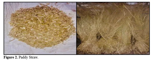 Producer Gas Generation by Utilizing Paddy Straw as a Biomass Feedstock in an Open Core Downdraft Gasifier 3 figures