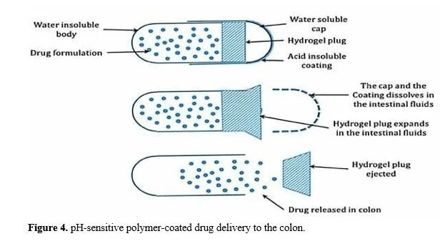 Formulation Development and Evaluation Technique for Immediate and Modified Release Capsule 5 figures