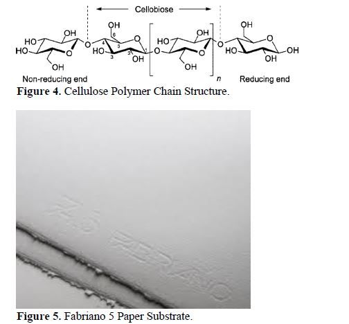 Exploring Polymer Substrates for CBSIW Antennas: Paper and Denim for Enhanced Gain and Bandwidth 4 figures