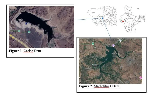 Breeding Biology of Great Thick-Knee (Esacus recurvirostris) in Fresh Water Reservoir near Wankaner of Morbi District, Gujarat 2 figures