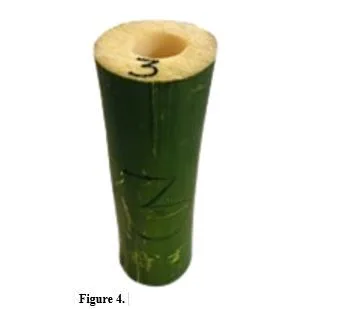 Analysis of Bamboo Strength for Structural Material 5 figures
