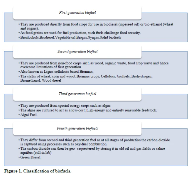 Harnessing Biomass and Biofuels: A Sustainable Path to Renewable Energy and Ecological Balance. 2 figures