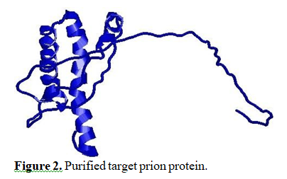 Valeton Phytoconstituents from Curcuma Phaeocaulis as Prion Protein Mutant V210I Inhibitors: A Computational Docking and Virtual Screening Study 3 figures