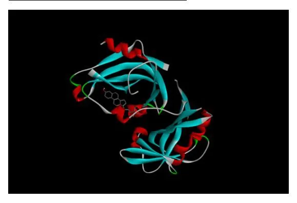 Using Multitarget Molecular Docking to Examine the Antiviral Potential of Clerodendrum Phlomidis against Measles 4 figures