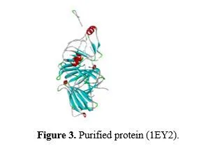Targeting Homogentisate Dioxygenase Dysfunction in Alkaptonuria: Investigating Curcuma longa’s Therapeutic Potential 4 figures