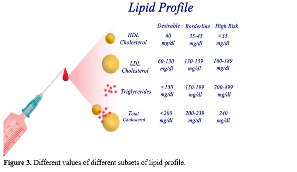 Study of Lipid Profile and Its Correlation with Coronary Angiogram Finding in a Tertiary Care Hospital in an Urban Setting 4 figures