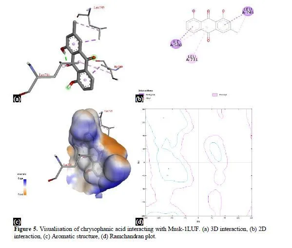Exploring Potential Phytochemicals for Myasthenia Gravis Treatment: A Molecular Docking and ADME Analysis Approach 6 figures