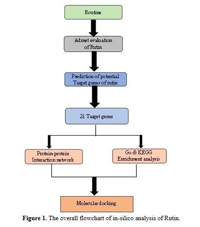 Integrating Network Pharmacology and Molecular Docking to Assess Rutin’s Pharmacological Properties 2 figures
