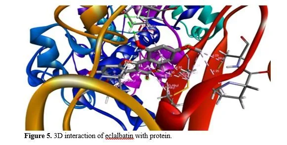 Computational Exploration of Bhrijraj-derived Phytochemicals as Potential Anti-inflammatory Agents: A Molecular Docking Study with Cyclooxygenase-II Complex 6 figures