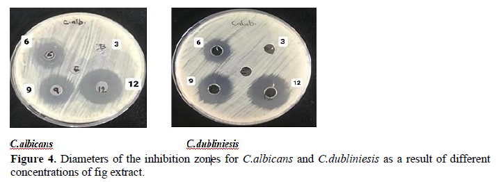 The Efficacy of Fig Extract on Some Candida spp. 5 figures